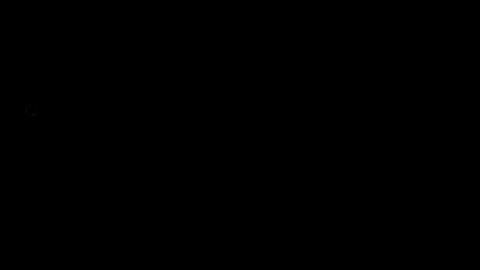 19044