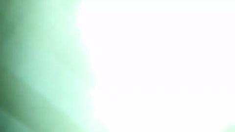 15544