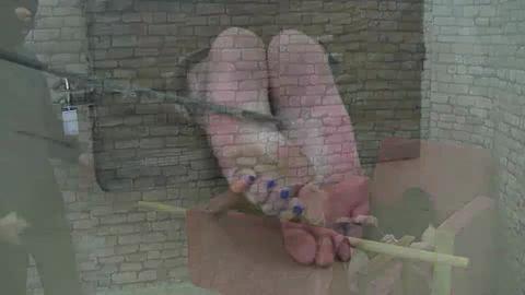 17409