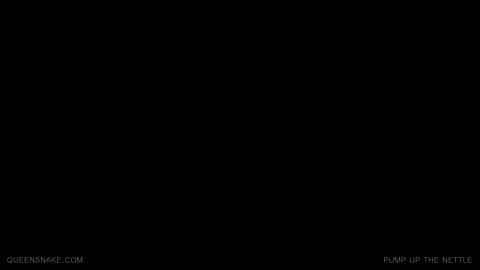 17036