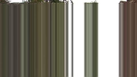 1101